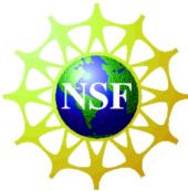 [logo NSF]